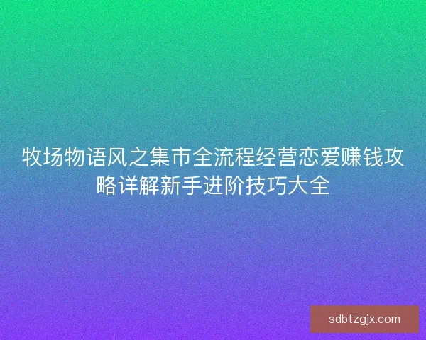牧场物语风之集市全流程经营恋爱赚钱攻略详解新手进阶技巧大全